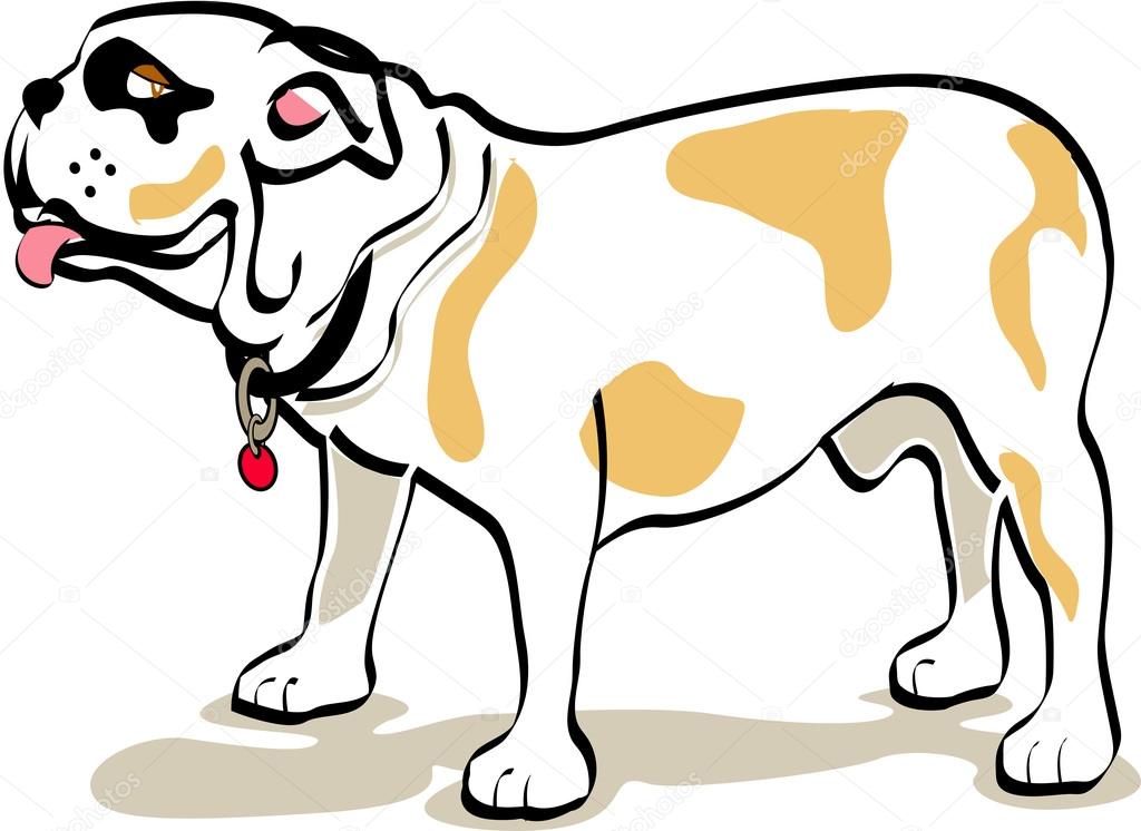 Bulldog standing in profile