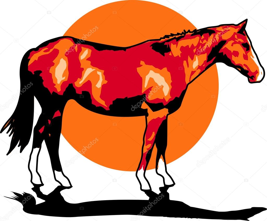 Brown horse with white feet standing against a sunset