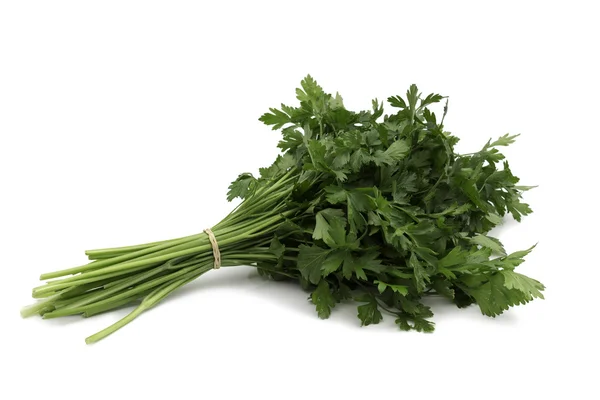 Fresh green parsley Stock Image