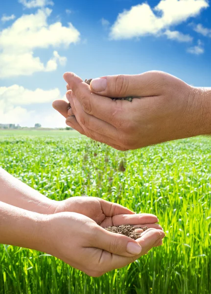 Hands of farmers with soil — Stock Photo, Image