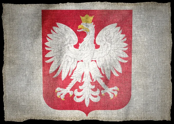 Polonya kollar, ulusal bayrak - Stok İmaj
