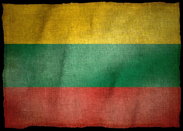 LITHUANIA NATIONAL FLAG — Stock Photo, Image