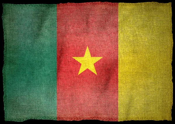 CAMEROON NATIONAL FLAG — Stock Photo, Image