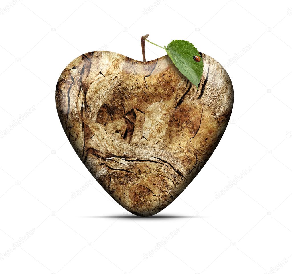 wood heart with green touch