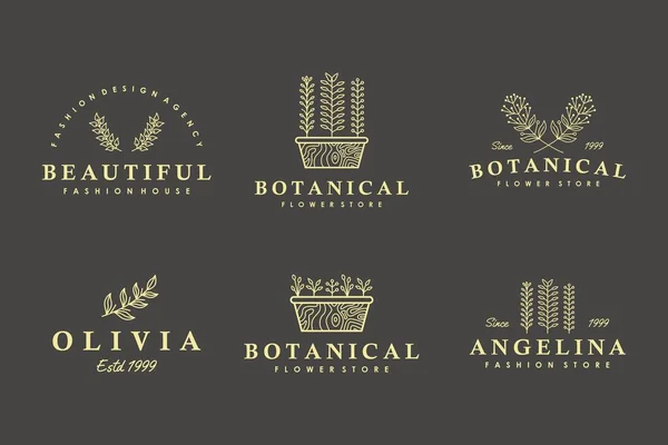 Botanischer Garten Logo Kollektion Mit Minimalistischem Stil — Stockvektor
