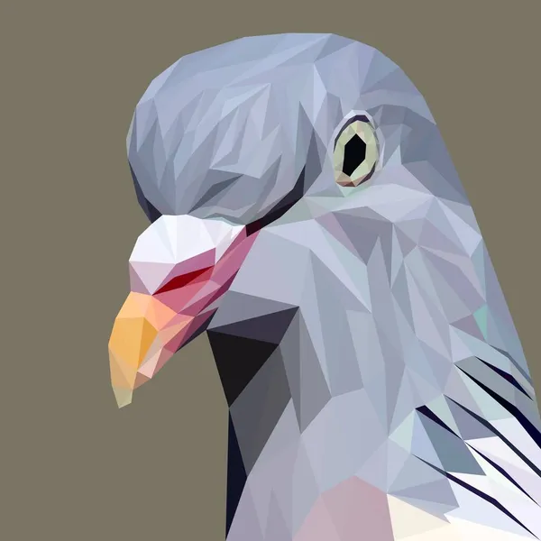 Güvercin Yüzlü Geometri Düşük Poli Üçgen Tel Çerçeve Çizimi Eps — Stok Vektör