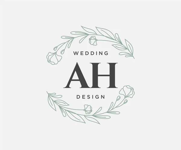 Initialen Brief Hochzeit Monogramm Logos Sammlung Handgezeichnete Moderne Minimalistische Und — Stockvektor