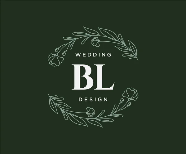 Carta Inicial Boda Colección Logotipos Monograma Dibujado Mano Plantillas Modernas — Archivo Imágenes Vectoriales