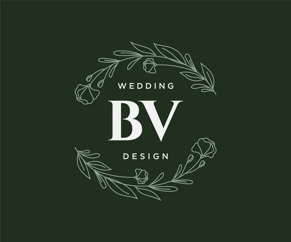 Carta Inicial Boda Colección Logotipos Monograma Dibujado Mano Plantillas Modernas — Archivo Imágenes Vectoriales