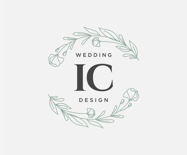 Wedding Monogram Logos Collection Hand Draw Modern Minminomalistic Floral Template — 스톡 벡터