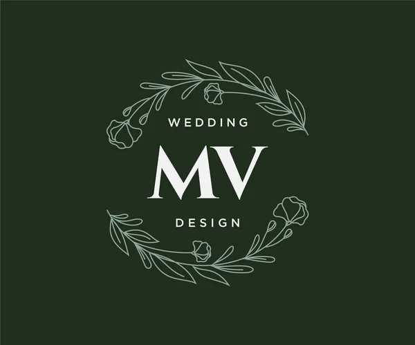 Carta Inicial Boda Colección Logotipos Monograma Dibujado Mano Plantillas Minimalistas — Archivo Imágenes Vectoriales