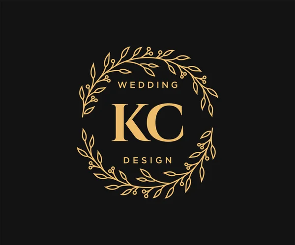 Iniciais Carta Casamento Monograma Logotipos Coleção Desenhado Mão Modernos Modelos — Vetor de Stock