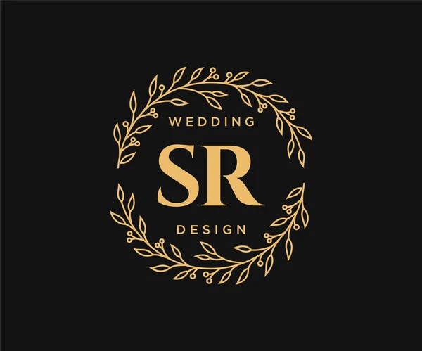 Iniciais Carta Casamento Monograma Logotipos Coleção Desenhado Mão Modernos Modelos — Vetor de Stock