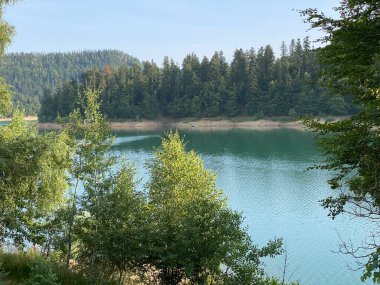 Yapay rezervuar Lokve Gölü veya Yapay Birikim Lokvarsko Gölü - Gorski kotar, Hırvatistan (Lokvarsko jezero ili umjetno akumulacijsko Omladinsko jezero, Lokve - Gorski kotar, Hrvatska)