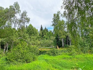 Lokvarsko Gölü boyunca dağ çayırları ve karışık ormanlar, Lokve - Hırvatistan (Planinski pasnjaci i goranska mijesana suma uz akumulacijsko Lokvarsko jezero, Lokve - Gorski kotar, Hrvatska)