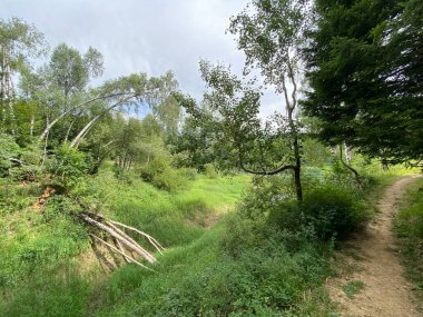 Lokvarsko Gölü, Lokvarsko Gölü, Lokve civarında yürüyüş ve dinlenme yolları (Pjesacko-biciklisticke staze oko Omladinskog ili Lokvarskog jezera, Lokve - Gorski kotar, Hrvatska)