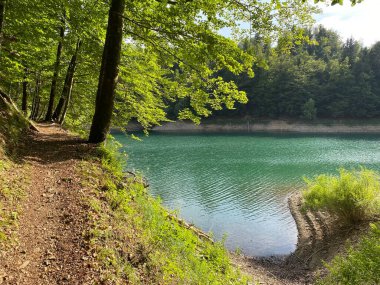Lokvarsko Gölü, Lokvarsko Gölü, Lokve civarında yürüyüş ve dinlenme yolları (Pjesacko-biciklisticke staze oko Omladinskog ili Lokvarskog jezera, Lokve - Gorski kotar, Hrvatska)