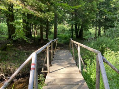 Gorski kotar 'daki Lokve Gölü veya Lokvarsko Gölü rezervuarının etrafındaki patikalarda yürüyüş izleri - Hırvatistan (Planinarske markacije na stazama oko Omladinskog ili Lokvarskog jezera u Gorskom kotaru - Lokve, Hrvatska)