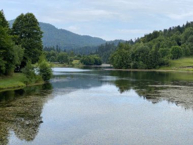 Resimli küçük dağ birikimi Mrzla Vodica - Gorski kotar, Hırvatistan (Slikovito malo goransko akumulacijsko jezero Mrzla Vodica - Gorski kotar, Hrvatska)