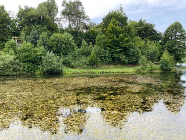 Resimli küçük dağ birikimi Mrzla Vodica - Gorski kotar, Hırvatistan (Slikovito malo goransko akumulacijsko jezero Mrzla Vodica - Gorski kotar, Hrvatska)