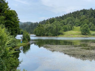 Resimli küçük dağ birikimi Mrzla Vodica - Gorski kotar, Hırvatistan (Slikovito malo goransko akumulacijsko jezero Mrzla Vodica - Gorski kotar, Hrvatska)