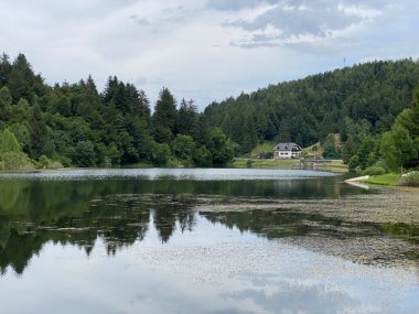 Resimli küçük dağ birikimi Mrzla Vodica - Gorski kotar, Hırvatistan (Slikovito malo goransko akumulacijsko jezero Mrzla Vodica - Gorski kotar, Hrvatska)