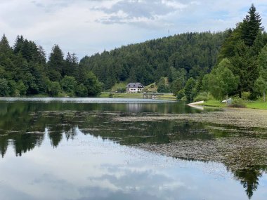 Resimli küçük dağ birikimi Mrzla Vodica - Gorski kotar, Hırvatistan (Slikovito malo goransko akumulacijsko jezero Mrzla Vodica - Gorski kotar, Hrvatska)