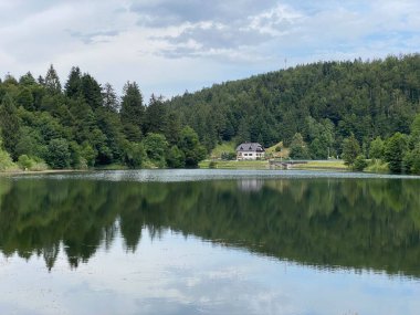 Resimli küçük dağ birikimi Mrzla Vodica - Gorski kotar, Hırvatistan (Slikovito malo goransko akumulacijsko jezero Mrzla Vodica - Gorski kotar, Hrvatska)