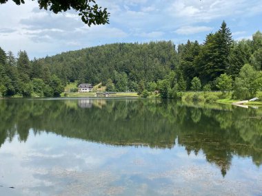 Resimli küçük dağ birikimi Mrzla Vodica - Gorski kotar, Hırvatistan (Slikovito malo goransko akumulacijsko jezero Mrzla Vodica - Gorski kotar, Hrvatska)