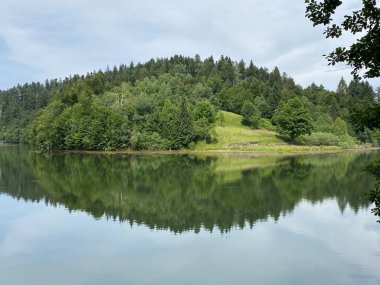 Resimli küçük dağ birikimi Mrzla Vodica - Gorski kotar, Hırvatistan (Slikovito malo goransko akumulacijsko jezero Mrzla Vodica - Gorski kotar, Hrvatska)