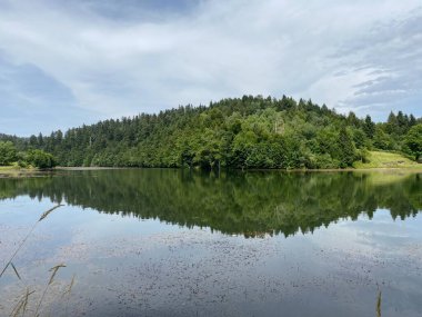 Resimli küçük dağ birikimi Mrzla Vodica - Gorski kotar, Hırvatistan (Slikovito malo goransko akumulacijsko jezero Mrzla Vodica - Gorski kotar, Hrvatska)