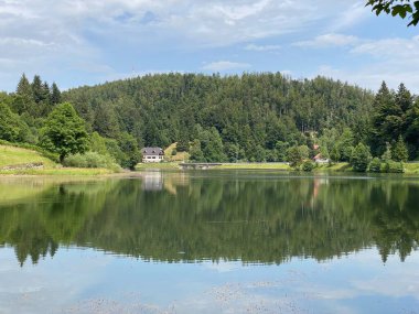 Resimli küçük dağ birikimi Mrzla Vodica - Gorski kotar, Hırvatistan (Slikovito malo goransko akumulacijsko jezero Mrzla Vodica - Gorski kotar, Hrvatska)