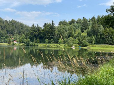 Resimli küçük dağ birikimi Mrzla Vodica - Gorski kotar, Hırvatistan (Slikovito malo goransko akumulacijsko jezero Mrzla Vodica - Gorski kotar, Hrvatska)