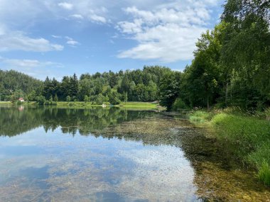 Resimli küçük dağ birikimi Mrzla Vodica - Gorski kotar, Hırvatistan (Slikovito malo goransko akumulacijsko jezero Mrzla Vodica - Gorski kotar, Hrvatska)