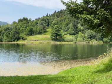 Resimli küçük dağ birikimi Mrzla Vodica - Gorski kotar, Hırvatistan (Slikovito malo goransko akumulacijsko jezero Mrzla Vodica - Gorski kotar, Hrvatska)