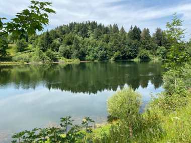 Resimli küçük dağ birikimi Mrzla Vodica - Gorski kotar, Hırvatistan (Slikovito malo goransko akumulacijsko jezero Mrzla Vodica - Gorski kotar, Hrvatska)