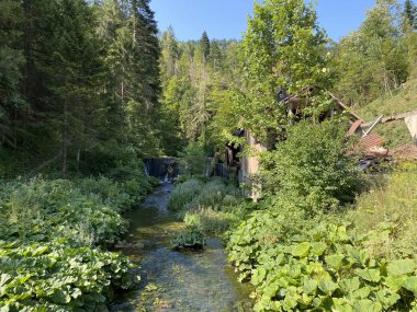 Hırvatistan 'ın Tici köyündeki Gornja Dobra nehri ile Cogrlthe Gölü arasında küçük bir dağ deresi - Gorski kotar, Hırvatistan (Mali goranski potok izmedju Cogrljevog jezera i tahmin ediyorum Gornje Dobre u zaselku Tici - Gorski kotar, Hrvatska)