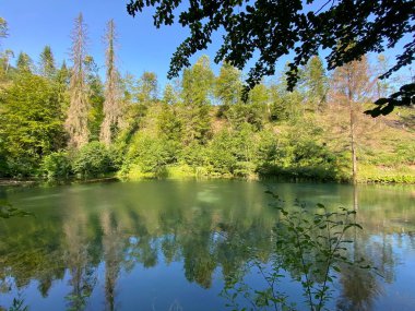 Hırvatistan 'ın Tici köyündeki Cogrlje Gölü veya Cogrlje Gölü' nde küçük bir orman baharı (Goransko sumsko jezerce i izvor Cogrlthe jezero u zaselku Tici - Gorski kotar, Hrvatska)