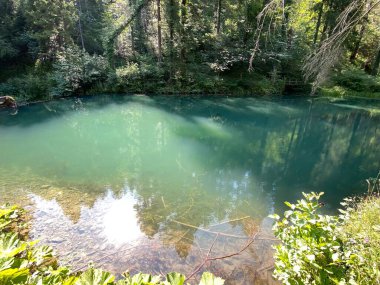 Hırvatistan 'ın Tici köyündeki Cogrlje Gölü veya Cogrlje Gölü' nde küçük bir orman baharı (Goransko sumsko jezerce i izvor Cogrlthe jezero u zaselku Tici - Gorski kotar, Hrvatska)