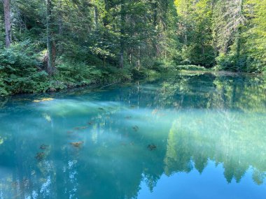 Hırvatistan 'ın Tici köyündeki Cogrlje Gölü veya Cogrlje Gölü' nde küçük bir orman baharı (Goransko sumsko jezerce i izvor Cogrlthe jezero u zaselku Tici - Gorski kotar, Hrvatska)