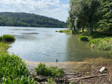 Licanka, Fuzine - Gorski kotar, Hırvatistan (Umjetno akumulacijsko jezero Bajer na rijeci Licanki ili Bajersko jezero, Fuzine - Gorski kotar, Hrvatska)