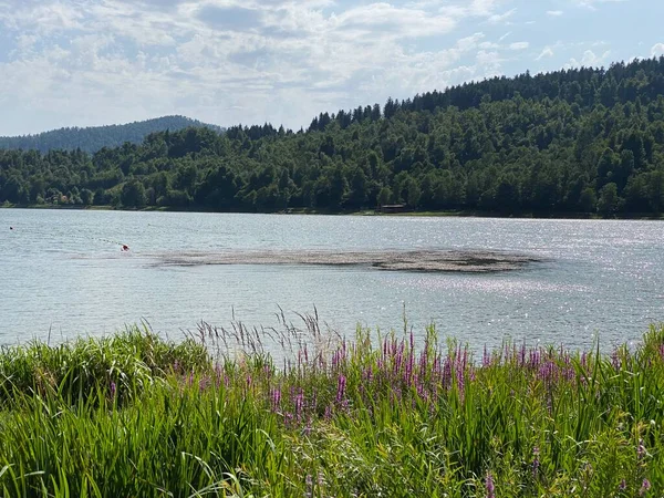 Bajersee Oder Künstlicher Stausee Bajer Fluss Licanka Fuzine Gorski Kotar — Stockfoto