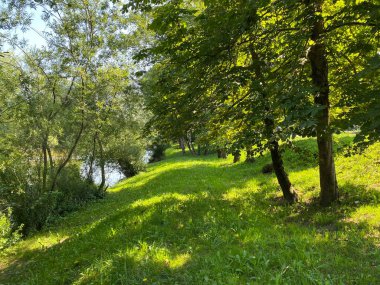 Kupa Nehri ve Kupa Nehri kavşağında Park Vilinski gaj, Brod na Kupi - Hırvatistan (Kupaliste i Park Vilinski gaj na utoku Kupice u rijeku Kupu, Brod na Kupi - Gorski kotar, Hrvatska)