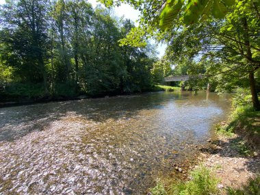 Kupa ile birleşmeden önce Kupica Nehri, Brod na Kupi - Gorski kotar, Hırvatistan (Rijeka Kupica prije utoka u Kupu, Brod na Kupi - Gorski kotar, Hrvatska)