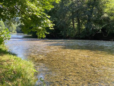 Kupa ile birleşmeden önce Kupica Nehri, Brod na Kupi - Gorski kotar, Hırvatistan (Rijeka Kupica prije utoka u Kupu, Brod na Kupi - Gorski kotar, Hrvatska)