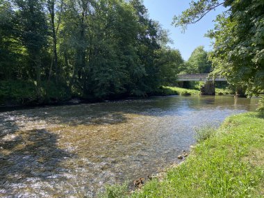 Kupa ile birleşmeden önce Kupica Nehri, Brod na Kupi - Gorski kotar, Hırvatistan (Rijeka Kupica prije utoka u Kupu, Brod na Kupi - Gorski kotar, Hrvatska)