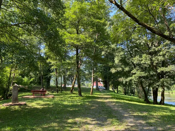 Park Vilinski Gaj Zusammenfluss Von Kupica Und Kupa Brod Kupi — Stockfoto