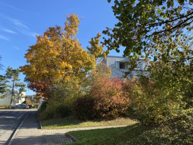 Sonbahar başlarında parklarda ve Zürih (Zuerich), Oerlikon - İsviçre (Schweiz)