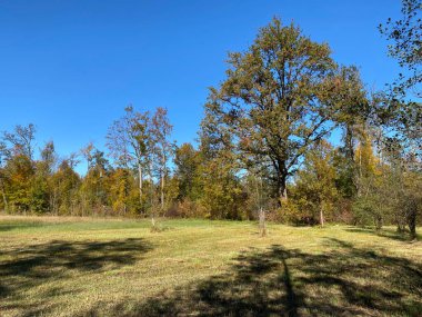 Zürih (Zuerich), Wallisellen - İsviçre (Schweiz)
