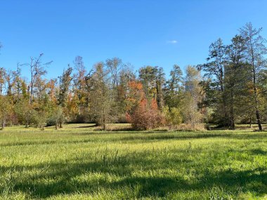 Zürih (Zuerich), Wallisellen - İsviçre (Schweiz)
